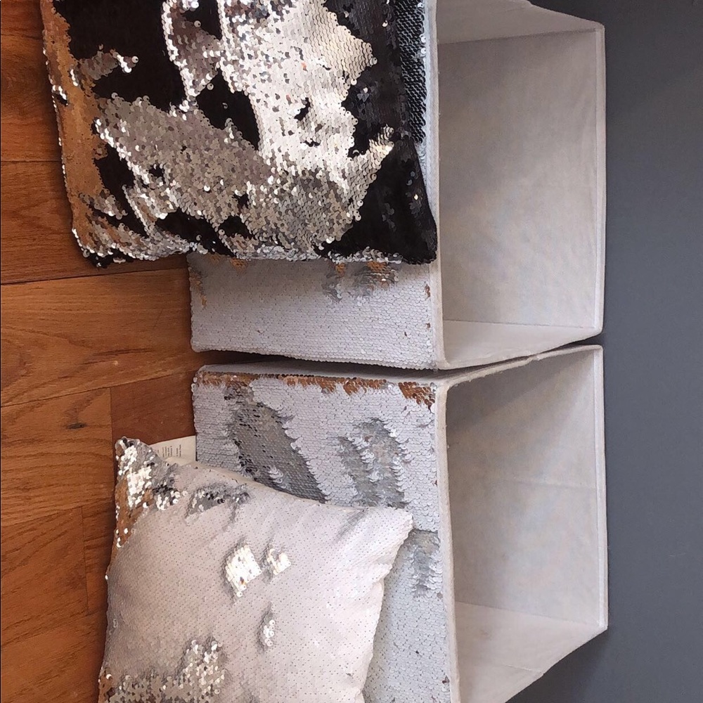 Two Storage boxes and two pillows